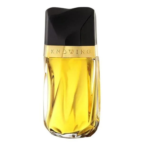 Estee Lauder Knowing EDP For Women 75ML