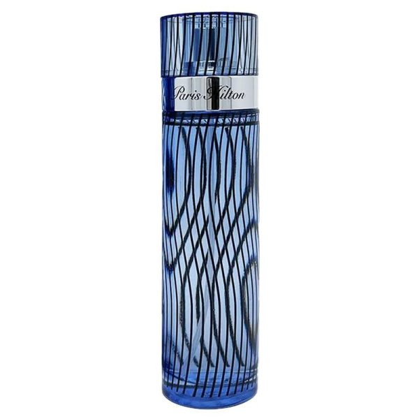 Paris Hilton EDT For Men 100ML