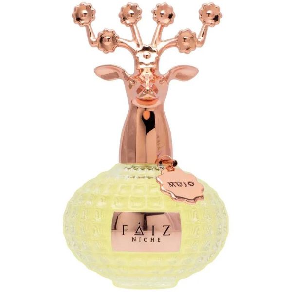 Faiz Niche Mojo Extrait De Parfum For Unisex 100ML