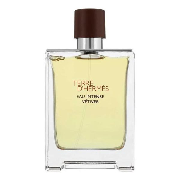 Hermes Terre D'Hermes Eau Intense Vetiver EDP For Men 100ML